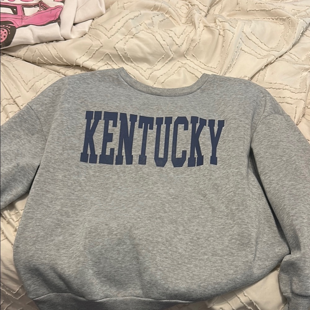SHEIN Blue Graphic Long Sleeve Sweatshirt